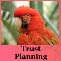 Trust Planning